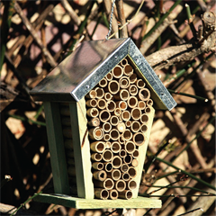 RSPCA bee box.png RSPCA bee box.png